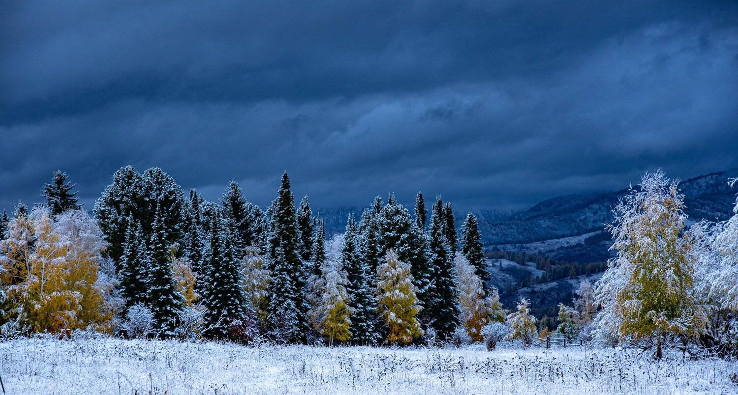 алтай. осень. горы., Евгений Дроботенко