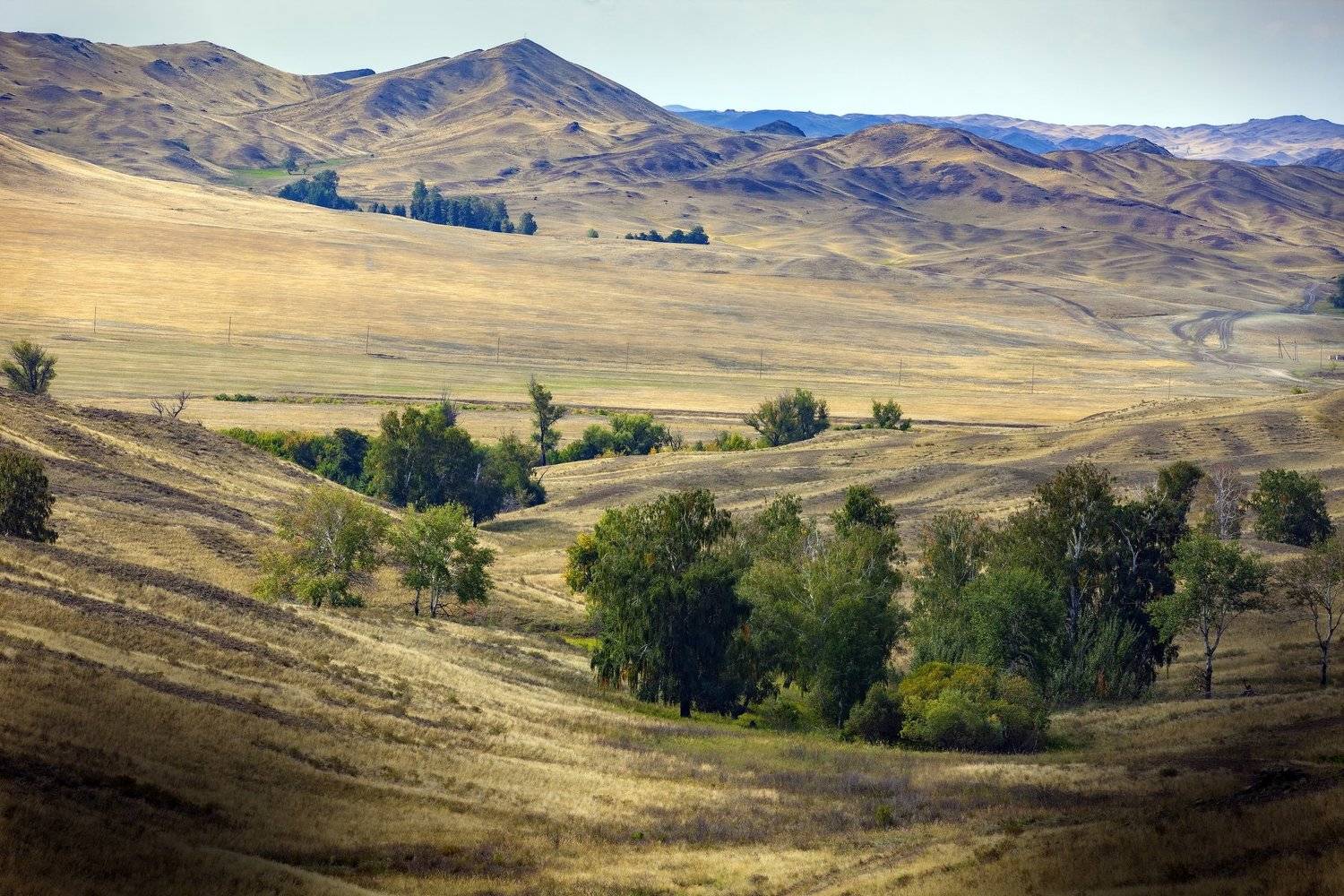 , петр чиков