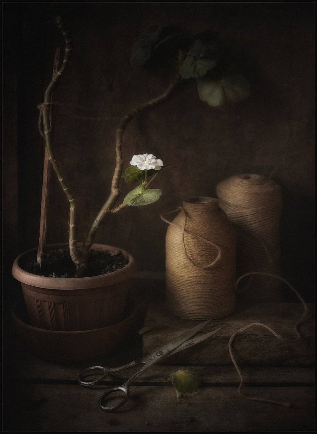 , Александр Хромеев