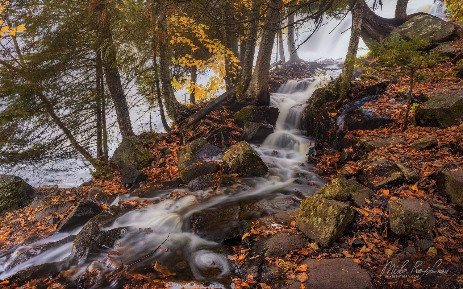 , Майк Рейфман