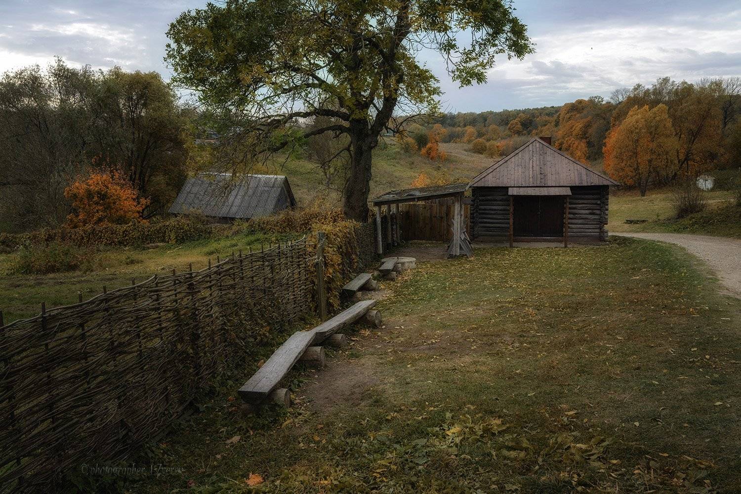 , Анатолий Зверев