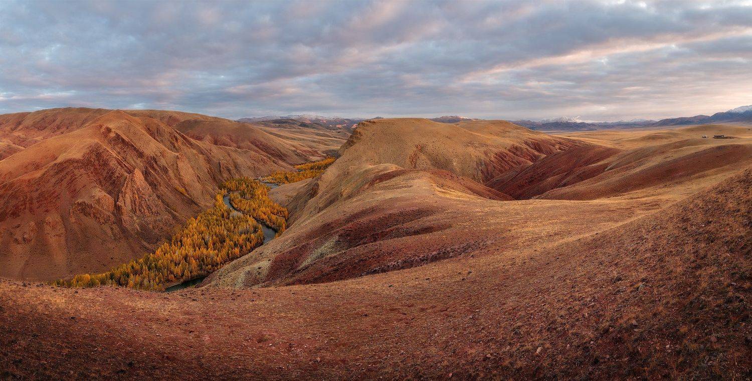 , Андрей Родионов