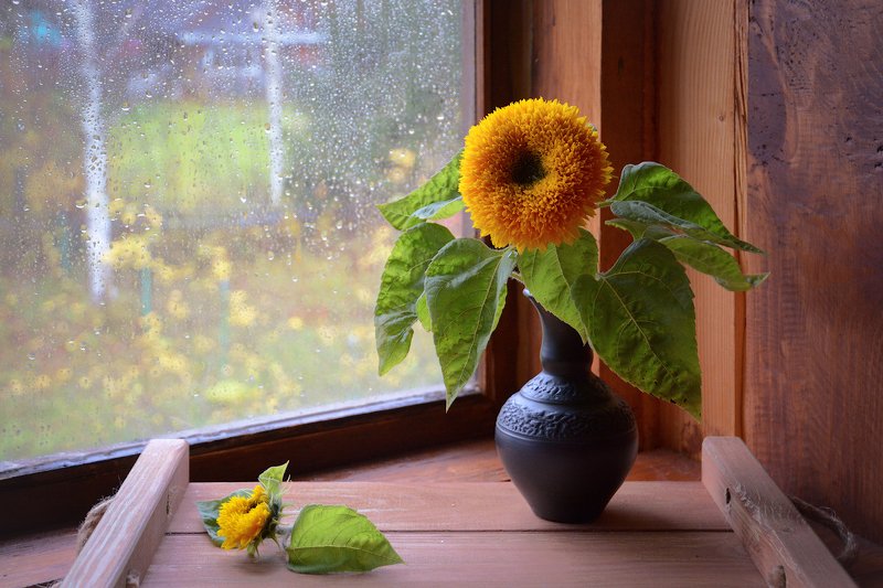 Солнце в бокале фото превью