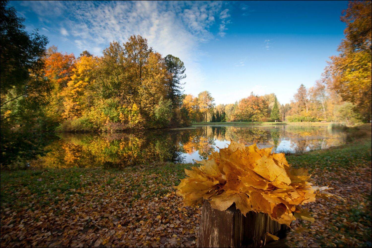 , Георгий Сапожников