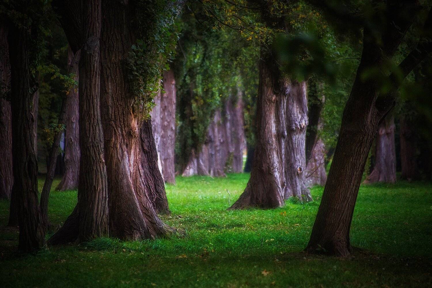 , Павел Сагайдак