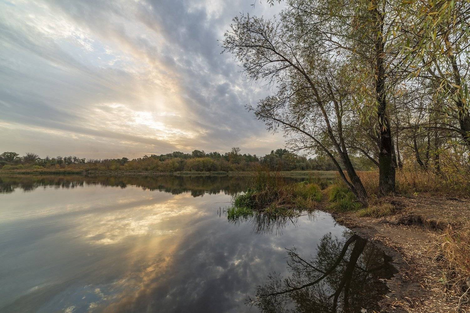 , Дмитрий Новоселов