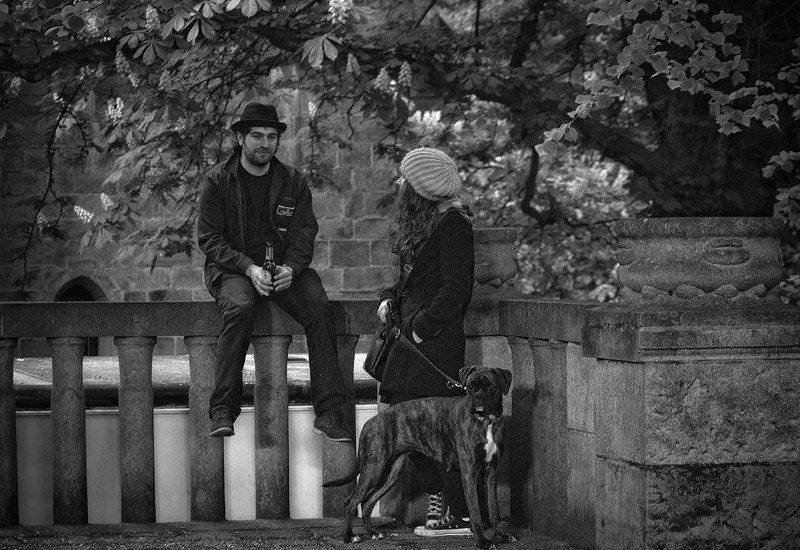 Снова весна... фото превью