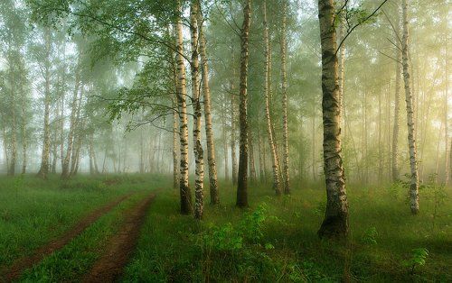 Майское утро