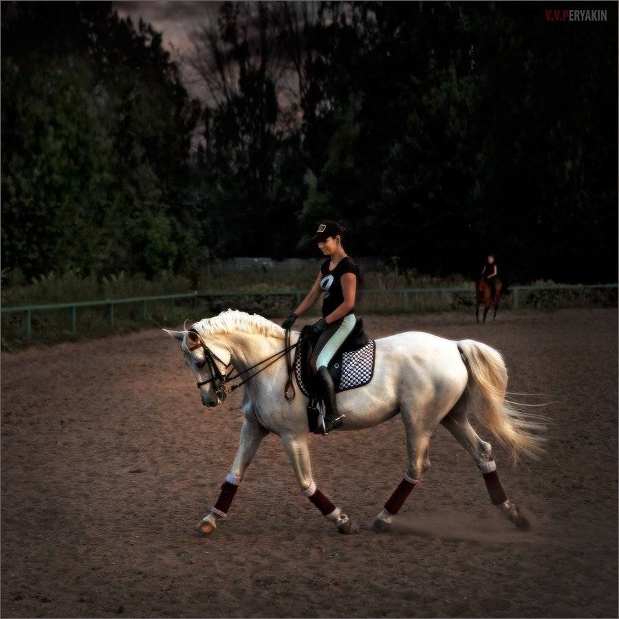 , Виктор Перякин