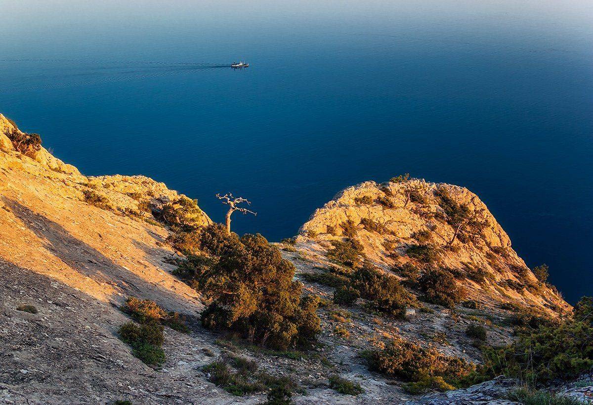 , Игорь Мелекесцев