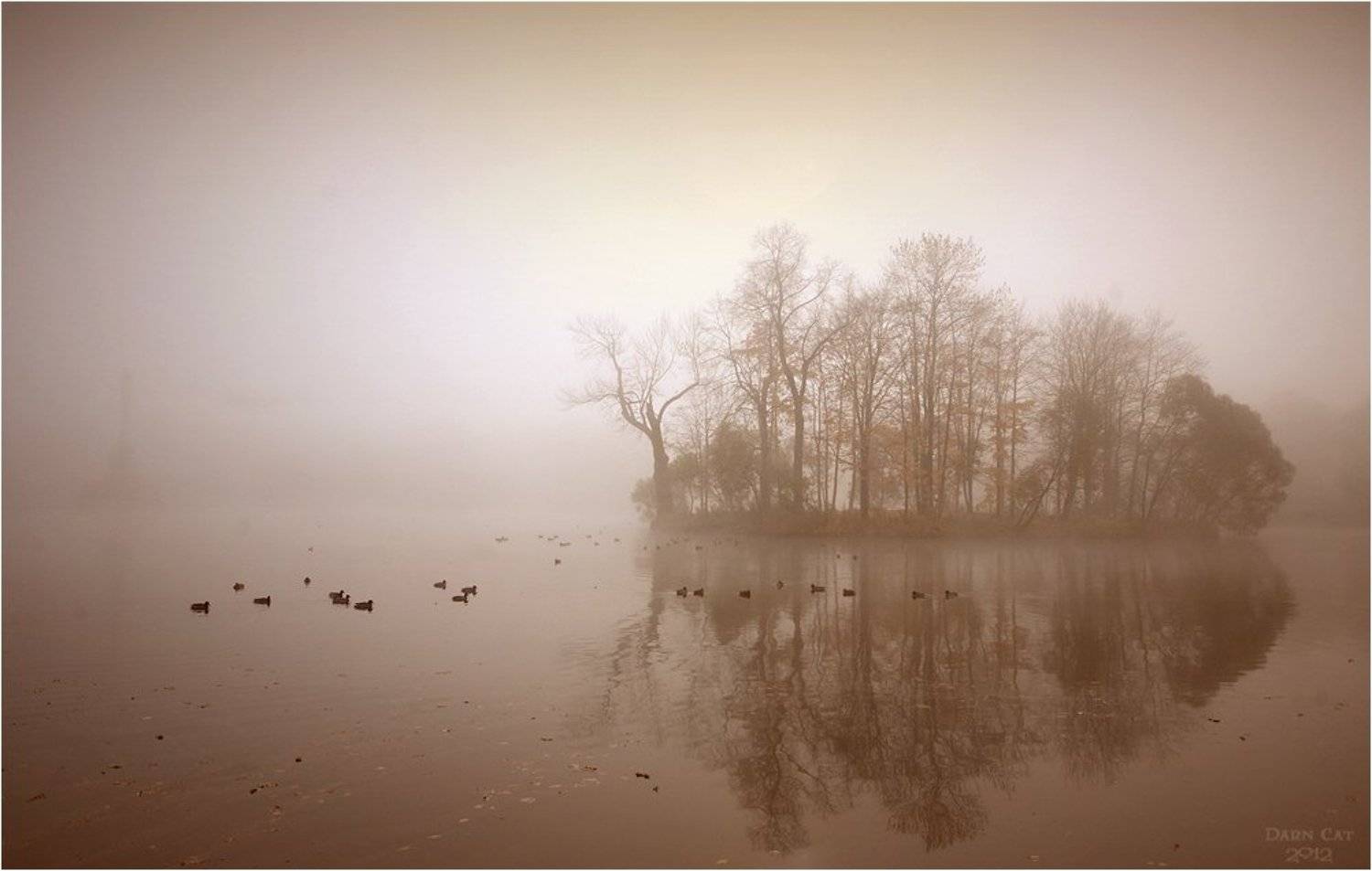 питер, туман, пушкин, пруд, утки, пейзаж, призраки, остров, Darn Cat