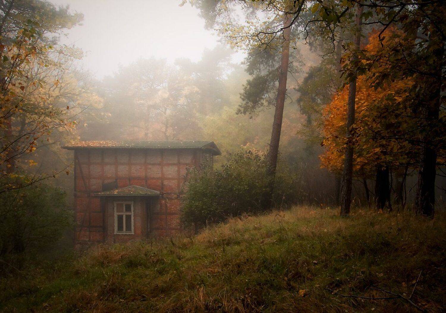 , Miroslaw Grobelski