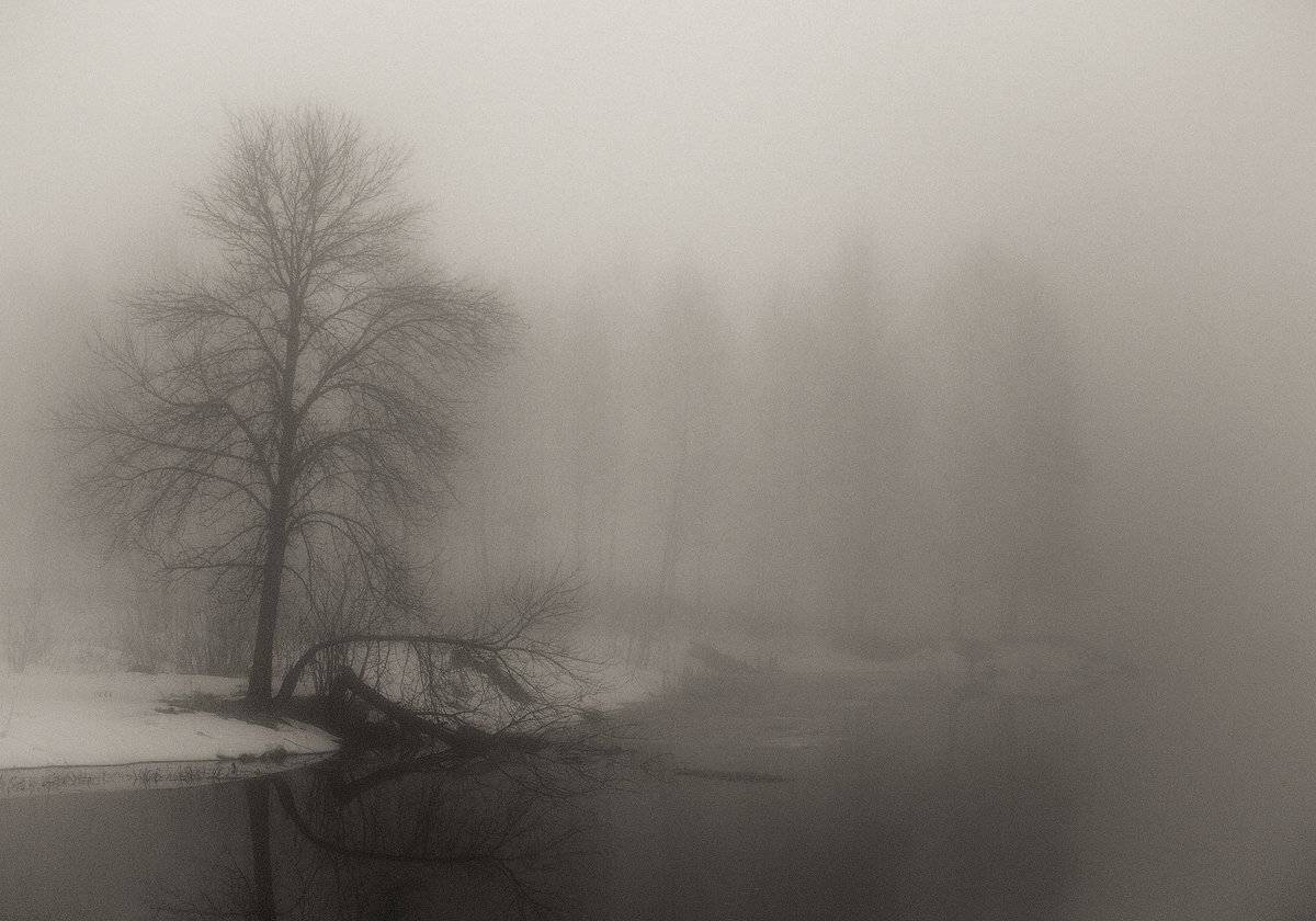 , Владимир Перепечаев