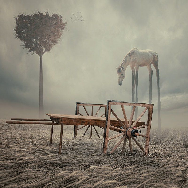 Looks can be deceiving фото превью