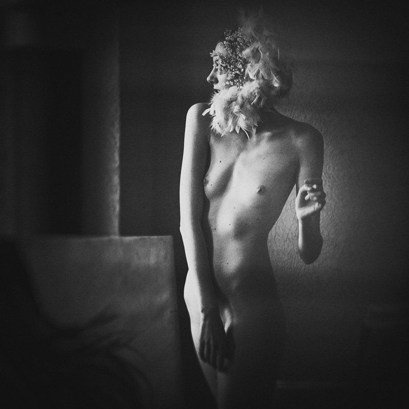 dip фото превью