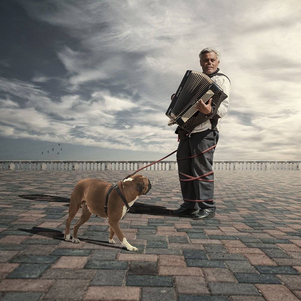 acordeon, , , , , relis, , , , , tutoriasl, , , , , ground, , , , , stone, , , , , manipulation, , , , , psd, , , , , shadow, , , , , bricks, , , , , musician, , , , , square, , , , , dog, , , , , light, , , , , man, Caras Ionut