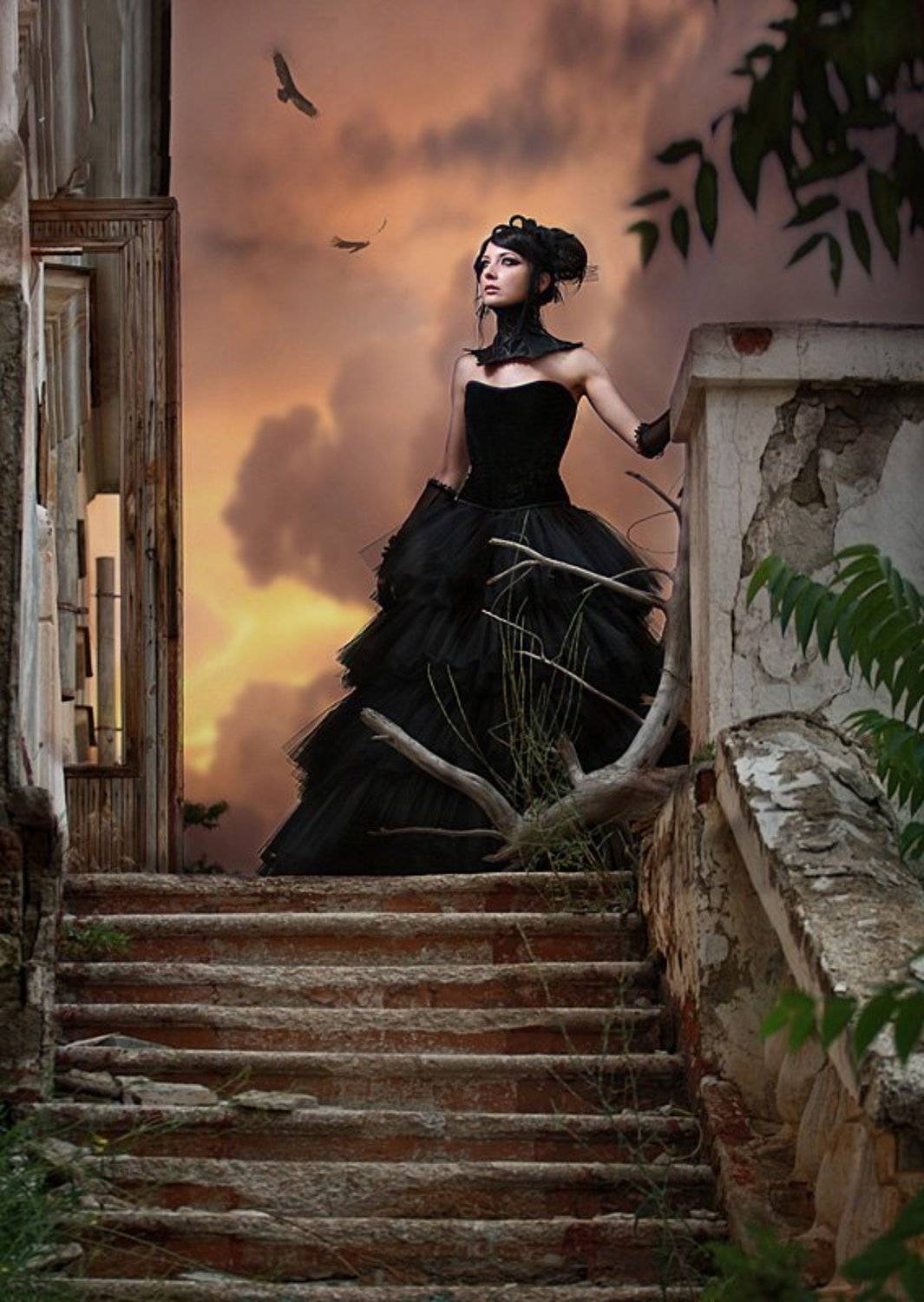 , Плаксина Оля