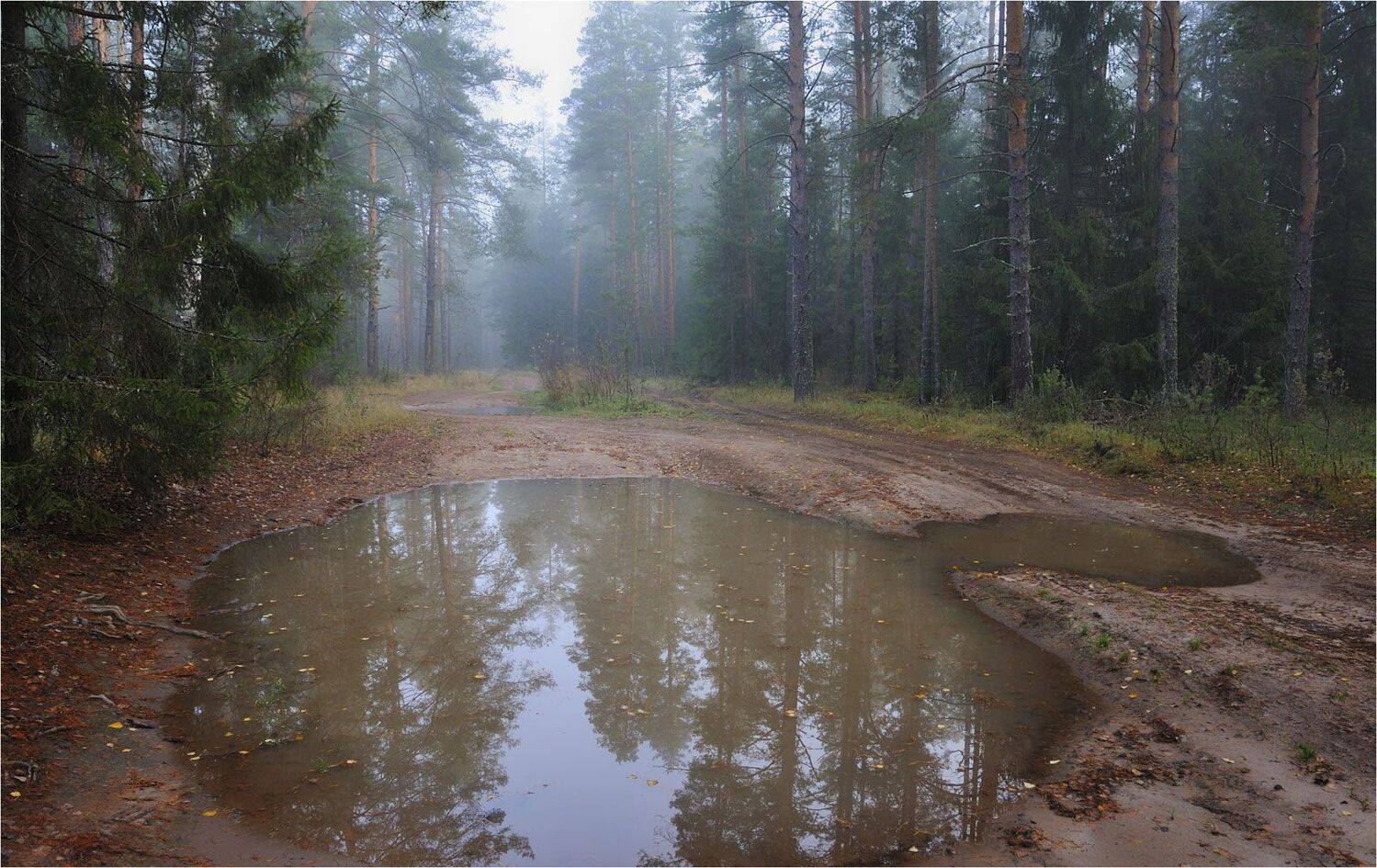 , Анатолий Гулин