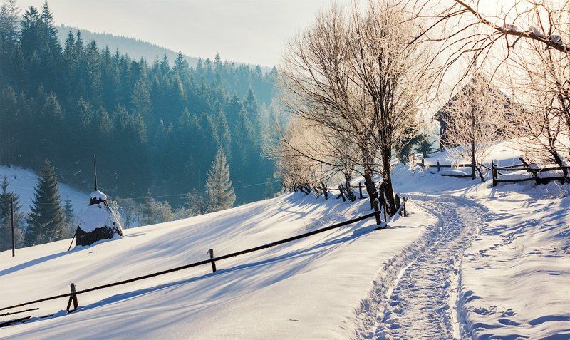 Утро карпатской глубинки фото превью