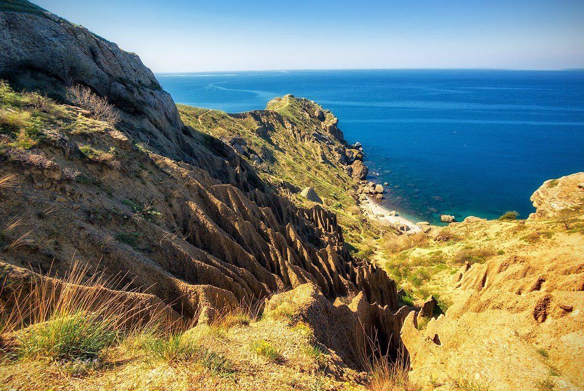 , Игорь Мелекесцев