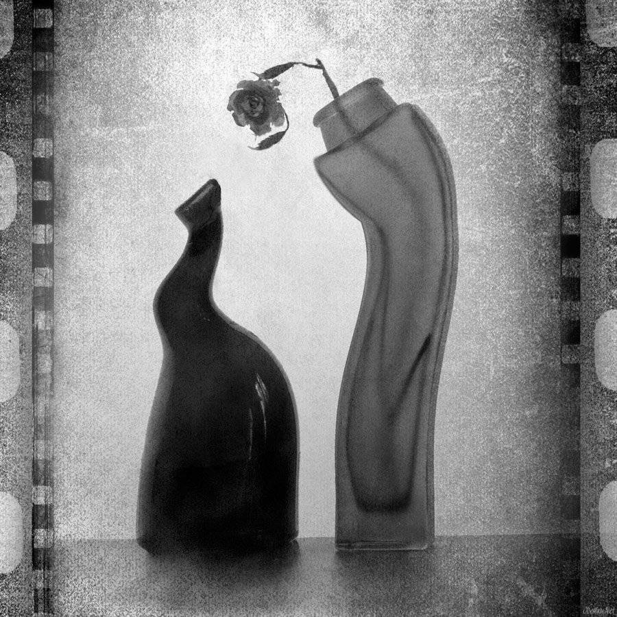 , Людмила Прокофьева