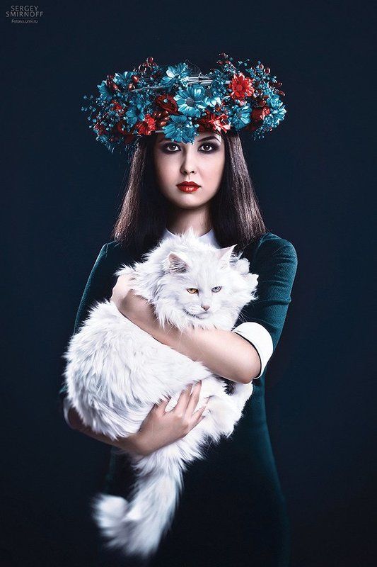 white cat фото превью