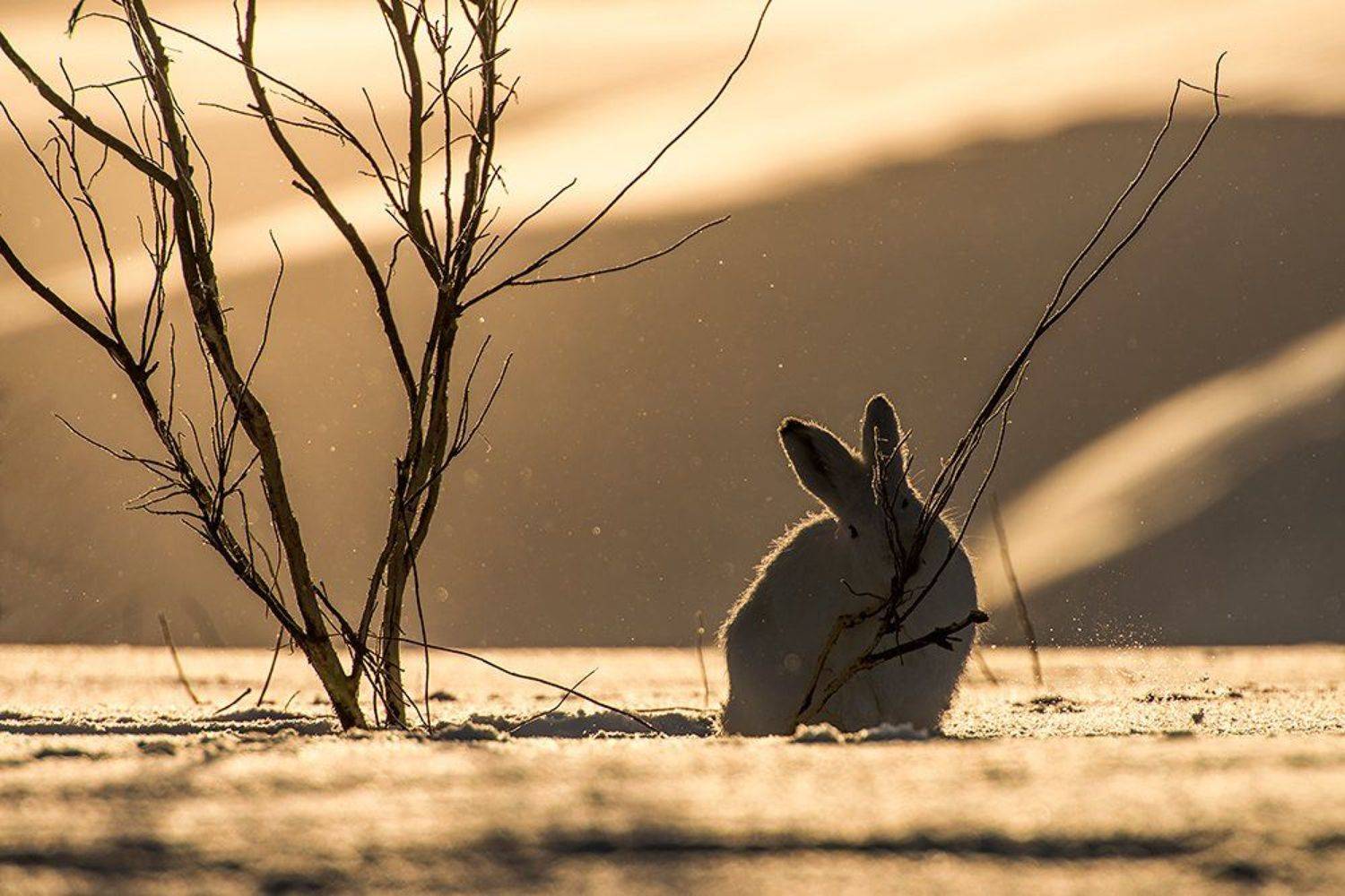 , Иван Кислов