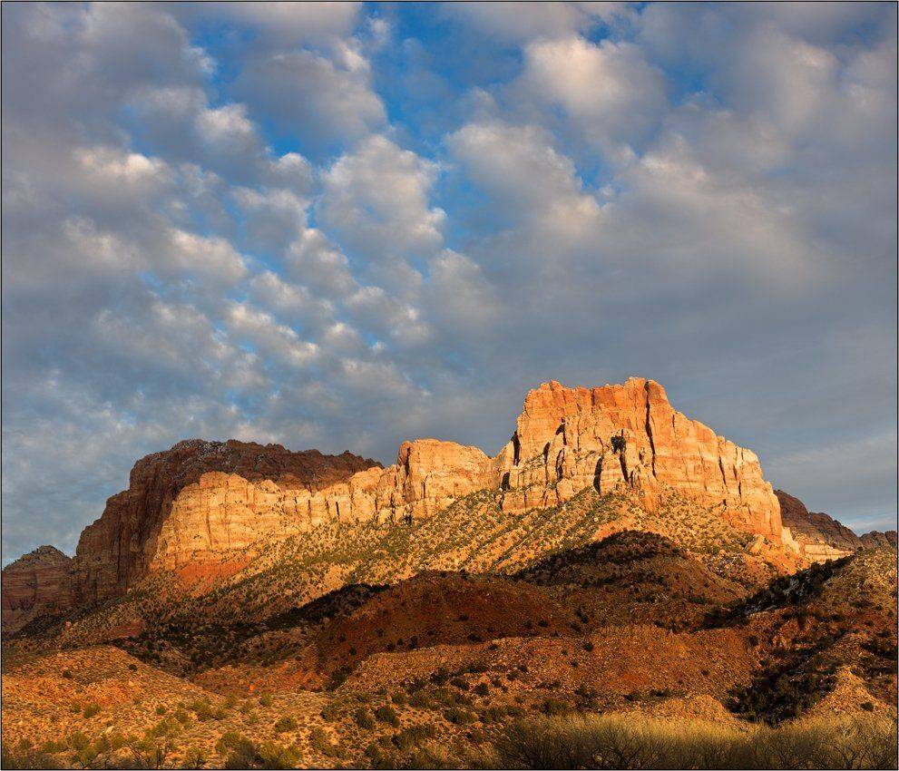 zion, , , thepictureform, izh Diletant (Валерий Щербина)