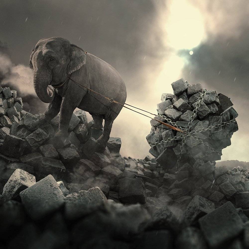 clouds, corn, elephant, ground, happy, head, heat, light, manipulation, mounting, psd, reflection, sky, spinner, stage, tutorials, wheel, chain, plug, photoshop, manipulation, Caras Ionut