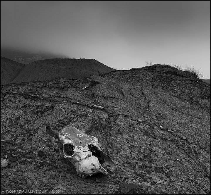 крым,карадаг, горы, череп,, Антон Петрусь