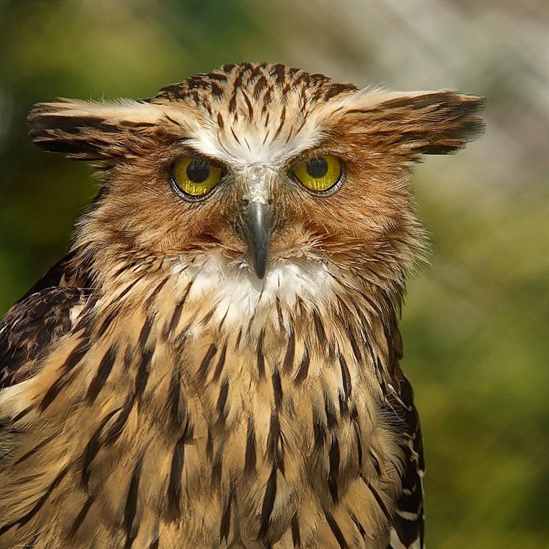 а мы знакомы? фото превью