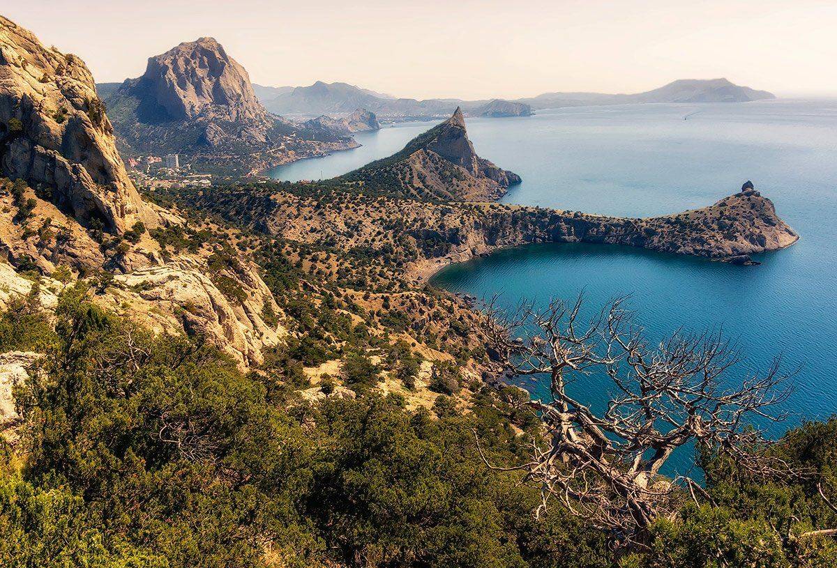 , Игорь Мелекесцев