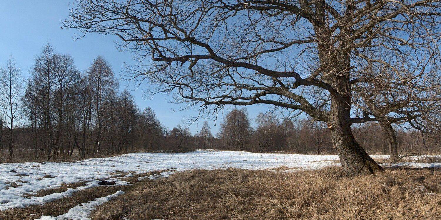 , Валерий Пешков