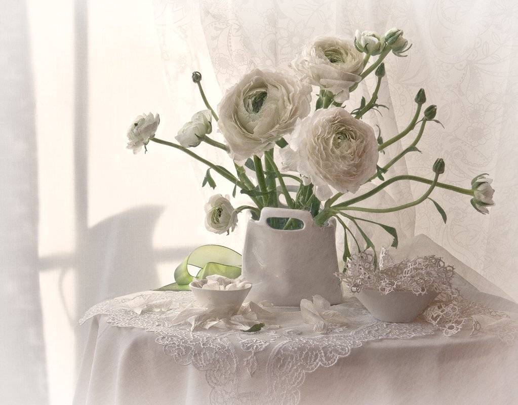 , Гелена Гленкова