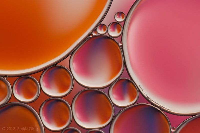 oil, water, macro, bubbles, abstract, art, oleg serkiz, вода, масло, Oil and Water фото превью
