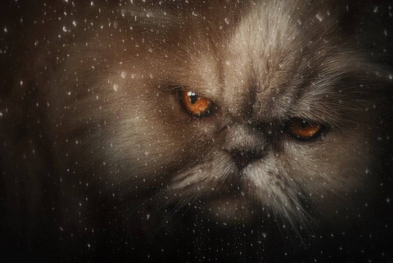 , Иван Наборщиков