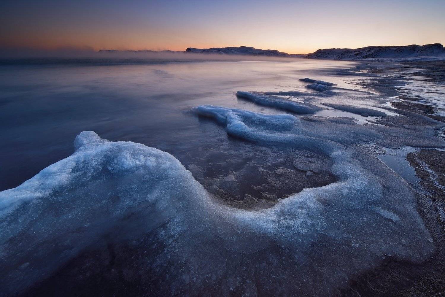 , Максим Евдокимов