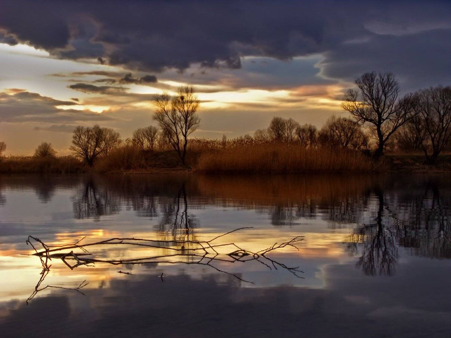 , Ирина Костова