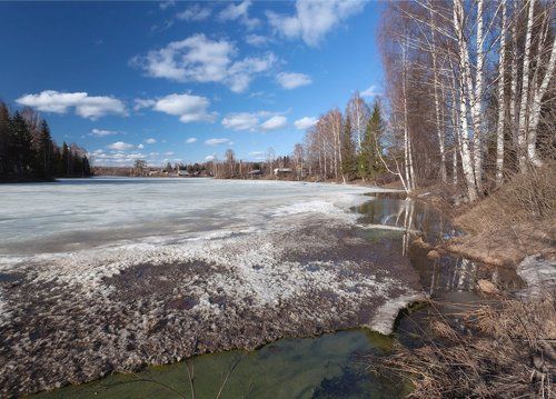 Первые проталины