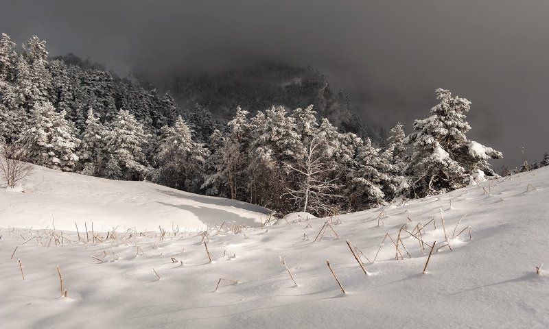МАРТОВСКАЯ ЗАРИСОВКА фото превью
