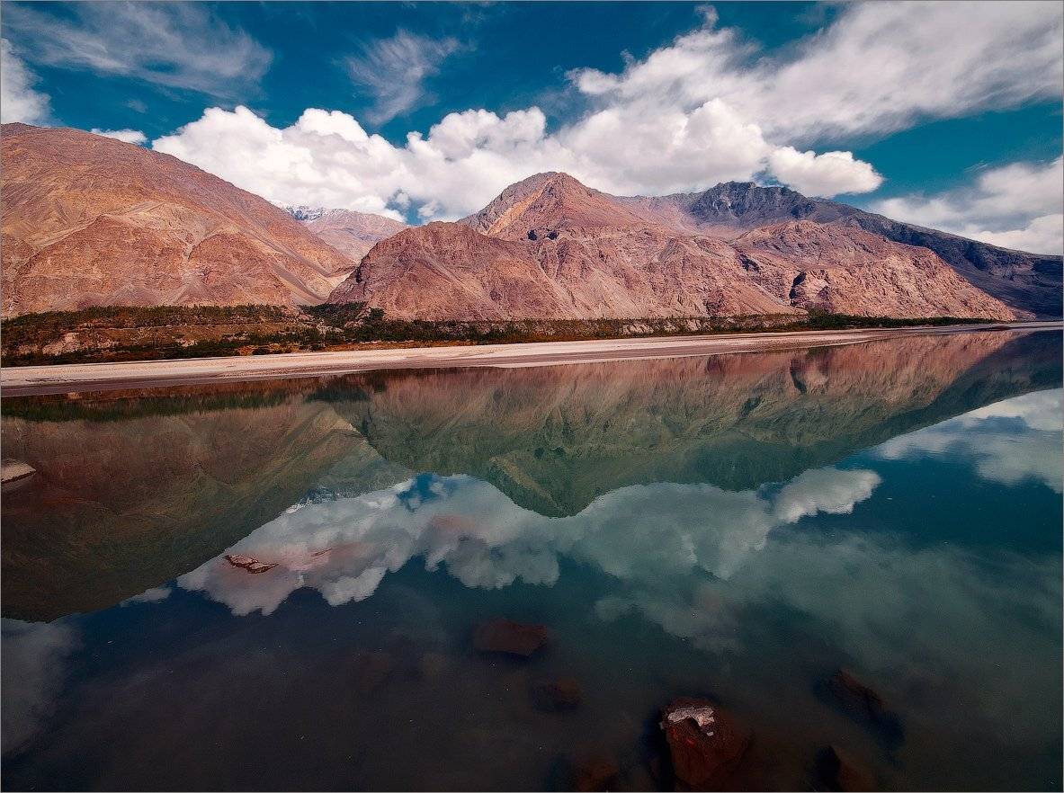 , Алексеевич