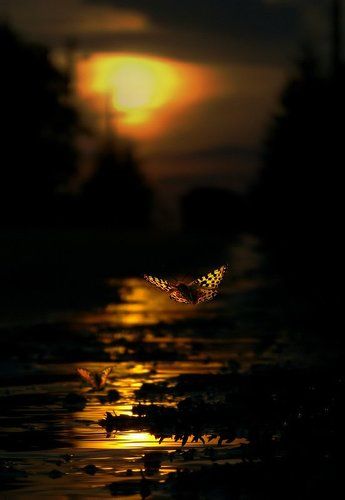 потерянных моментов