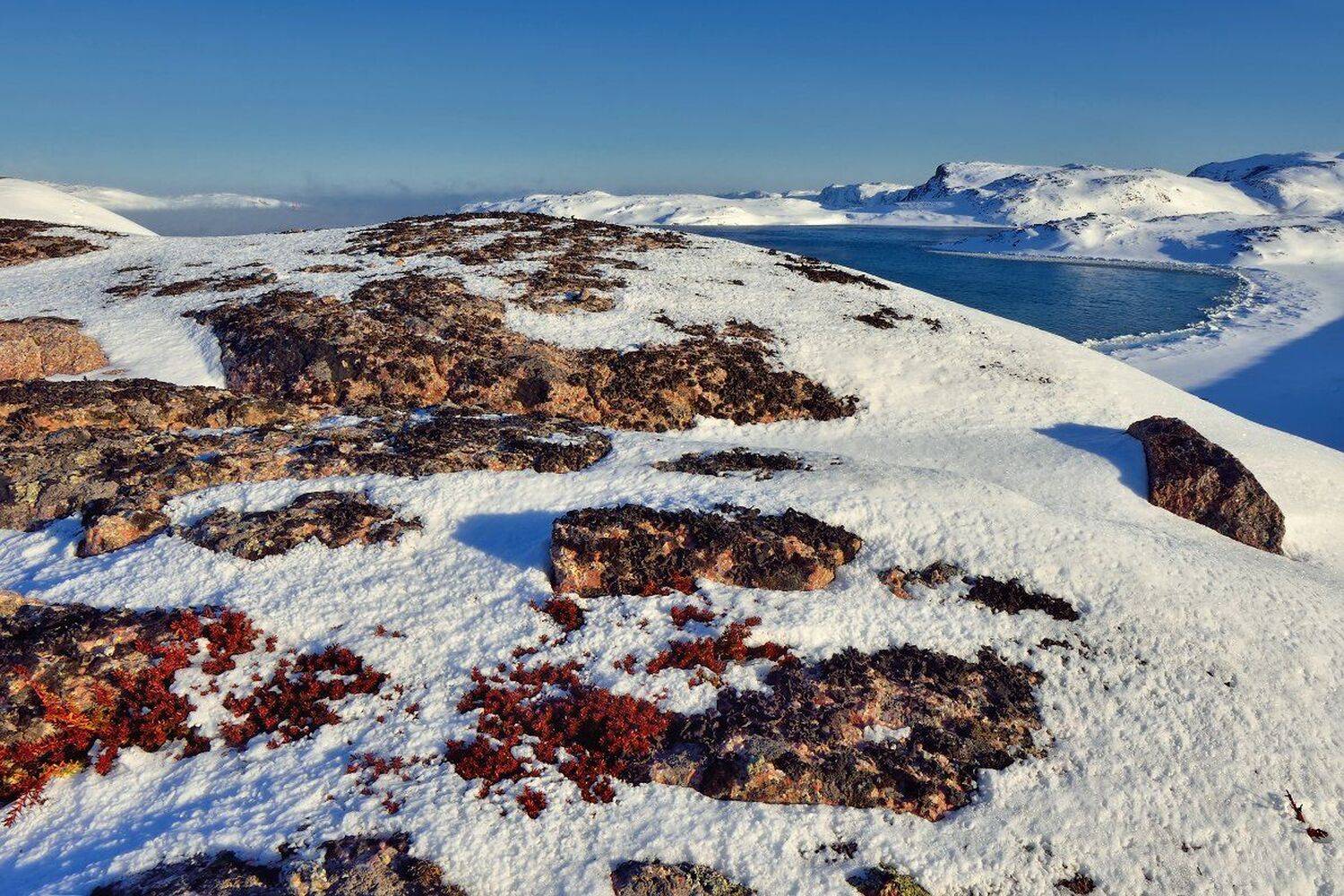 , Максим Евдокимов