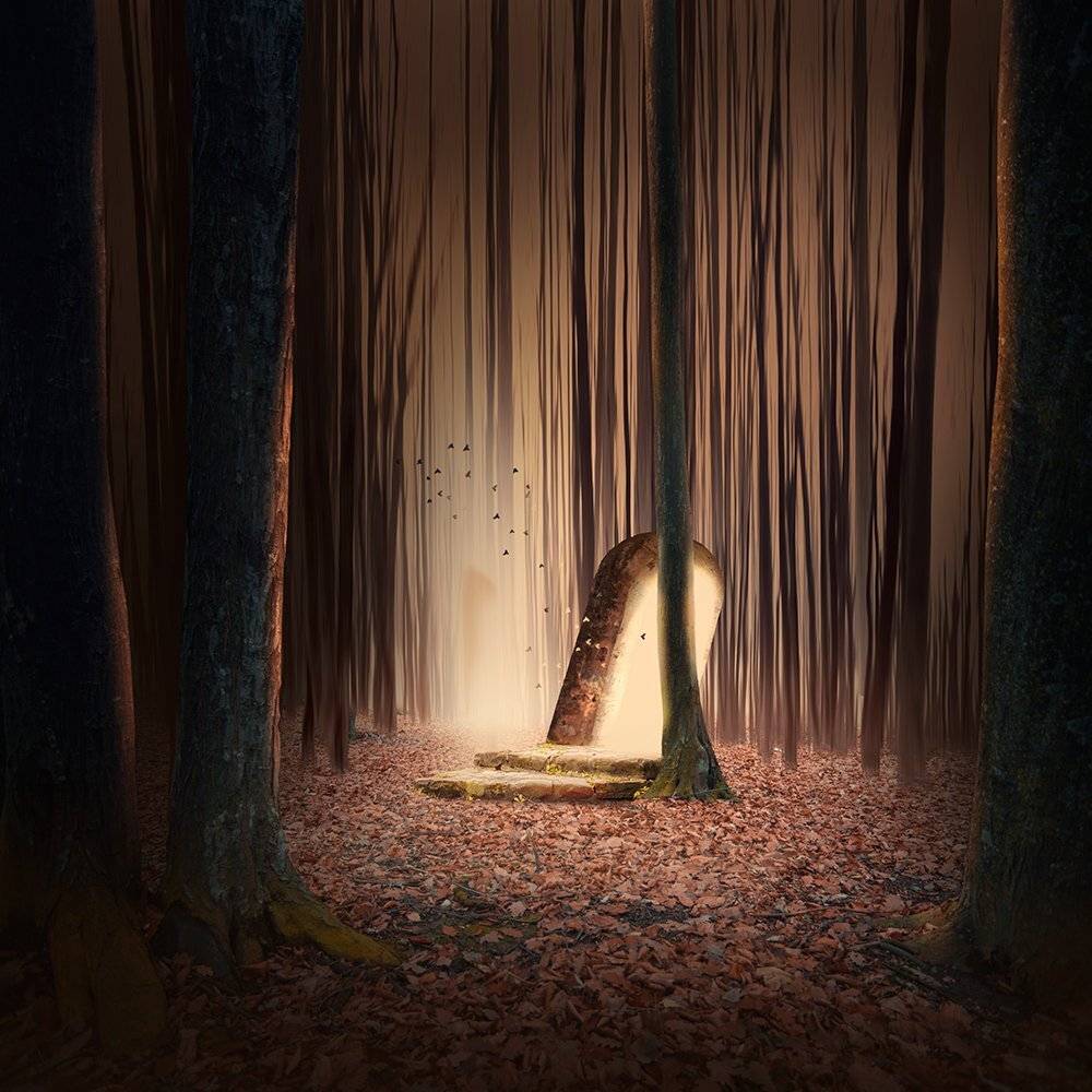 door, entrance, fly, forest, light, long, manipulation, portal, psd, shadow, tree, tutorials, wood, Caras Ionut