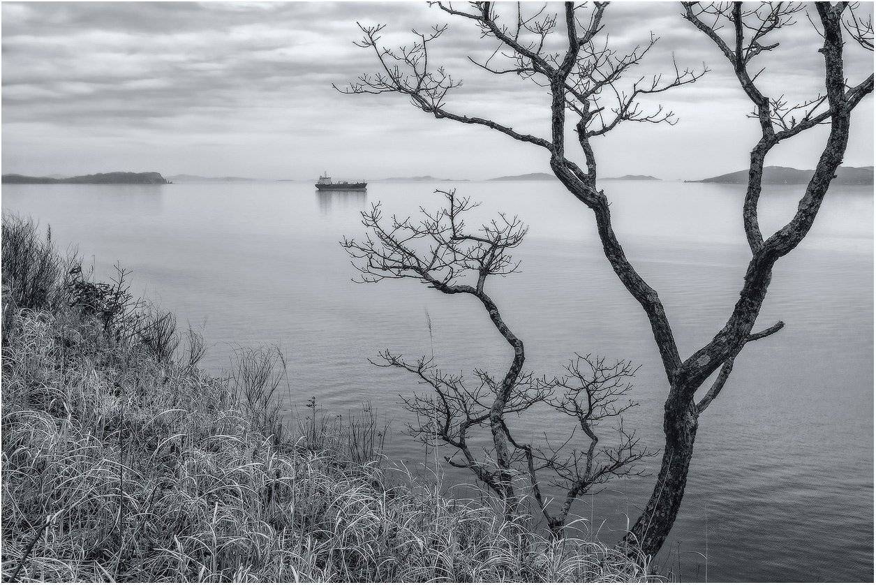 , Андрей Кровлин