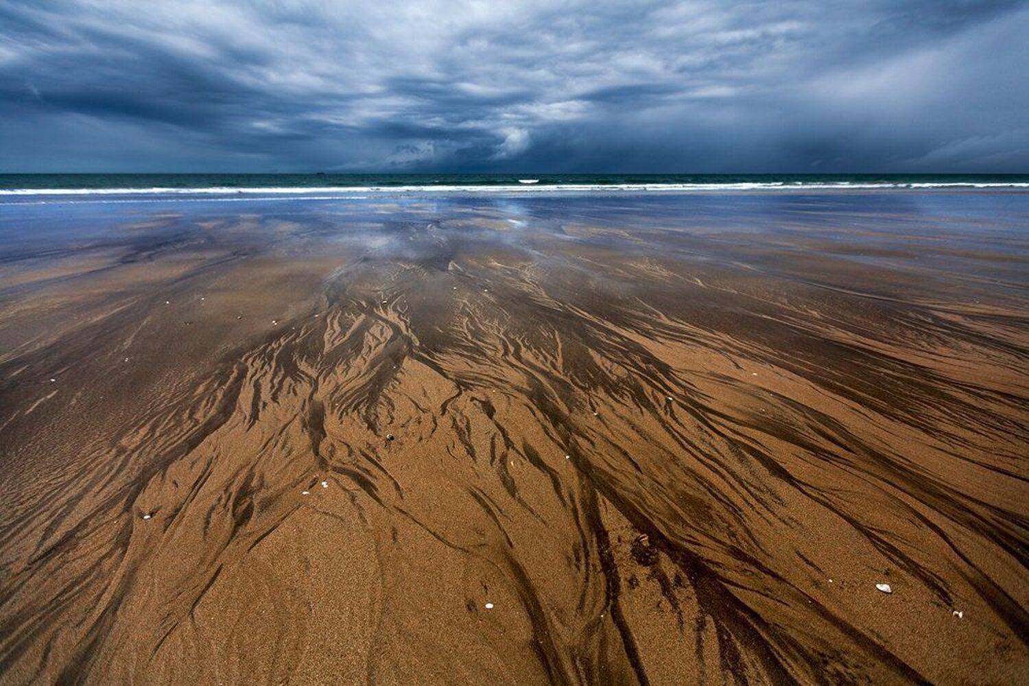Новая Зеландия, Дара Пилюгина