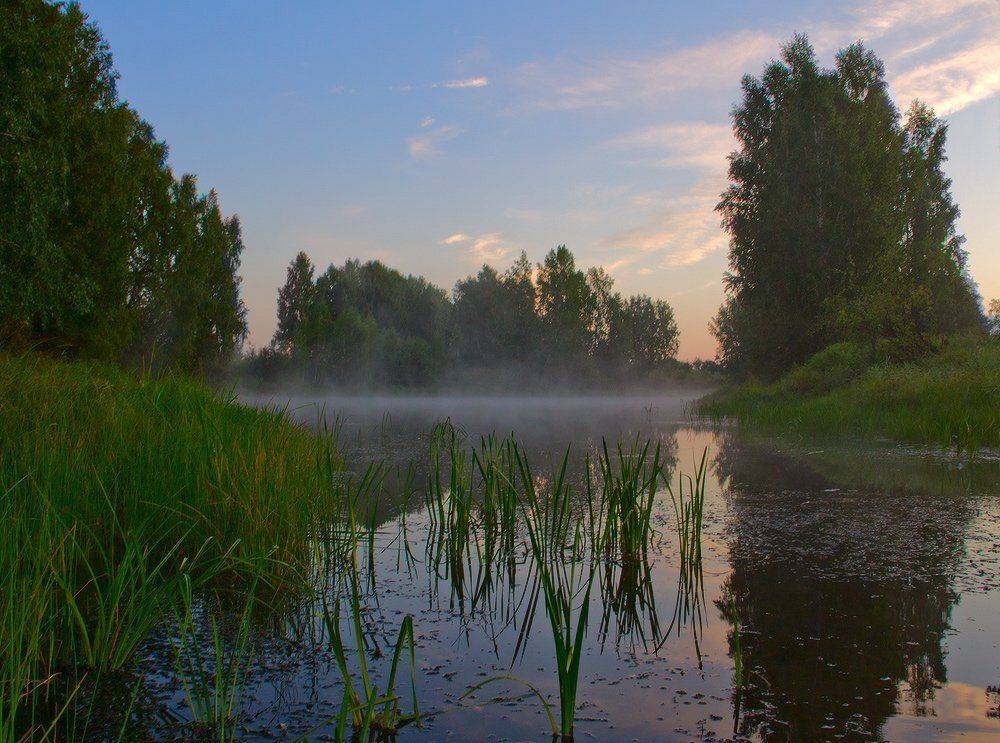 , Николай Морский