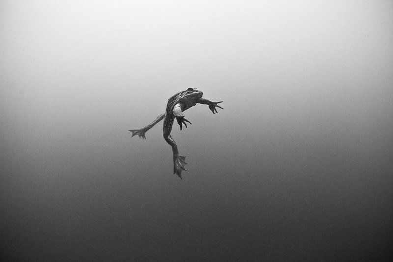 Девушка задумалась..) фото превью