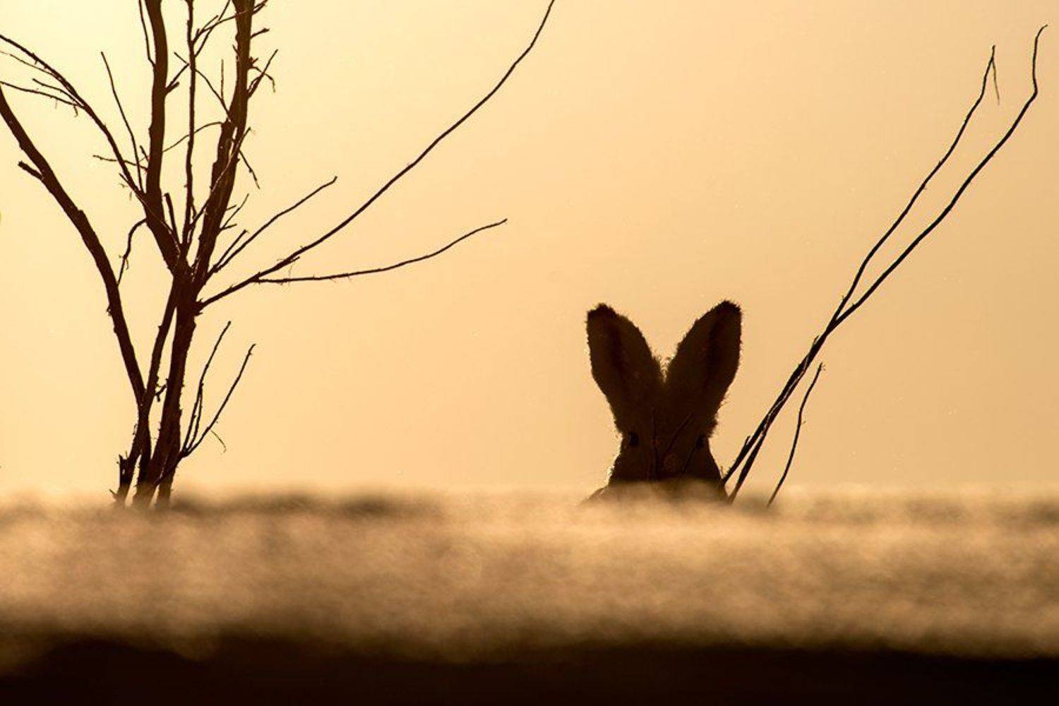 , Иван Кислов