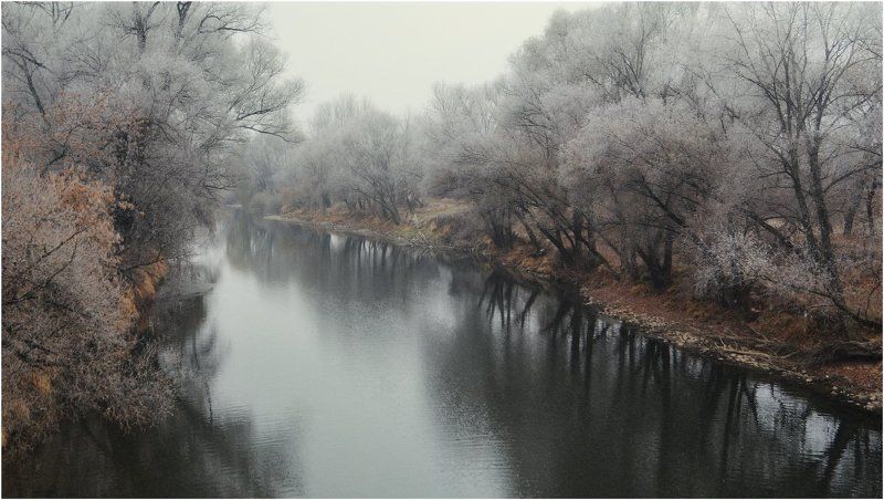 Посеребрило... фото превью